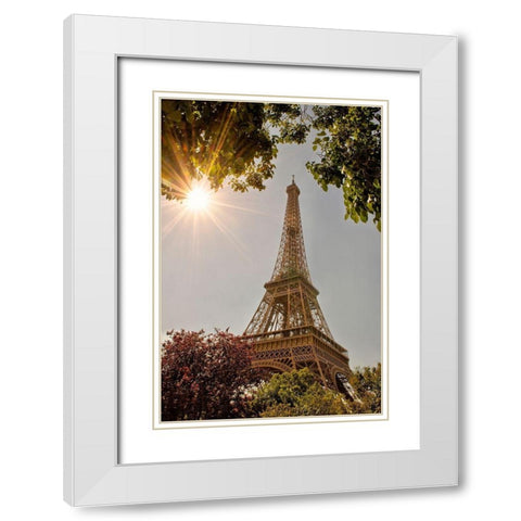 Eiffel Tower framed by trees and sunburst in Paris-France White Modern Wood Framed Art Print with Double Matting by Steve Mohlenkamp