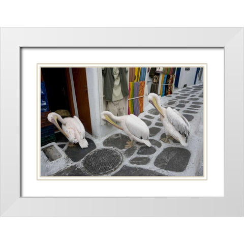 Greece, Mykonos, Hora Three pelicans grooming White Modern Wood Framed Art Print with Double Matting by Young, Bill