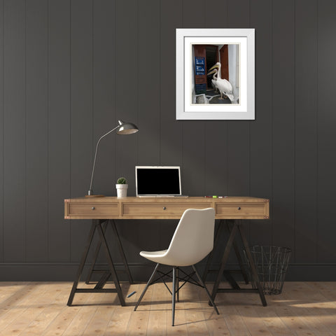 Greece, Mykonos, Hora Two pelicans in restaurant White Modern Wood Framed Art Print with Double Matting by Young, Bill