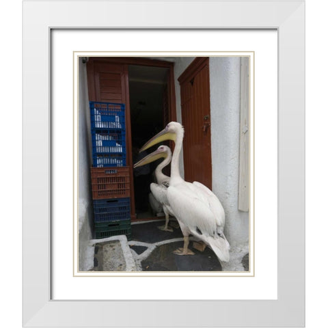 Greece, Mykonos, Hora Two pelicans in restaurant White Modern Wood Framed Art Print with Double Matting by Young, Bill