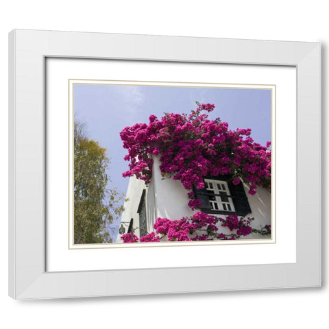 Greece, Mykonos, Hora Bougainvillea flowers White Modern Wood Framed Art Print with Double Matting by Young, Bill