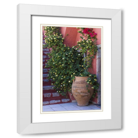 Greece, Santorini Pot with honeysuckle vine White Modern Wood Framed Art Print with Double Matting by Young, Bill