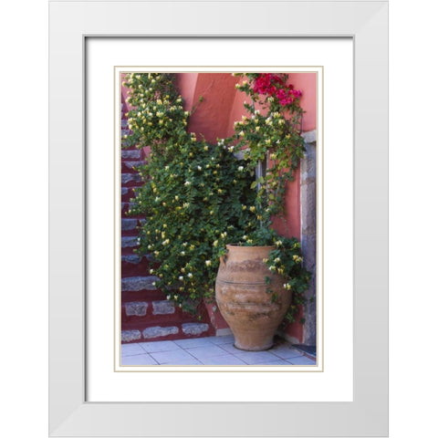 Greece, Santorini Pot with honeysuckle vine White Modern Wood Framed Art Print with Double Matting by Young, Bill