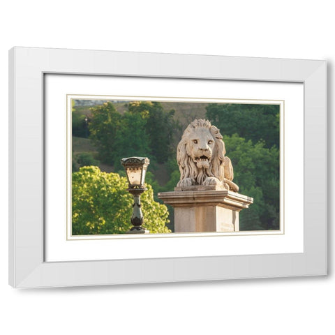 Hungary-Budapest-Lion sculpture on the Szechenyi Chain Bridge White Modern Wood Framed Art Print with Double Matting by Haseltine, Tom