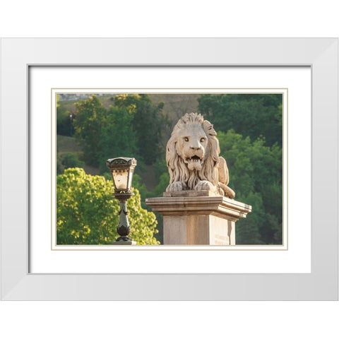 Hungary-Budapest-Lion sculpture on the Szechenyi Chain Bridge White Modern Wood Framed Art Print with Double Matting by Haseltine, Tom