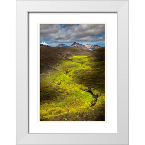 Colorful lichen along small stream in the mountains-Iceland White Modern Wood Framed Art Print with Double Matting by Jones, Adam
