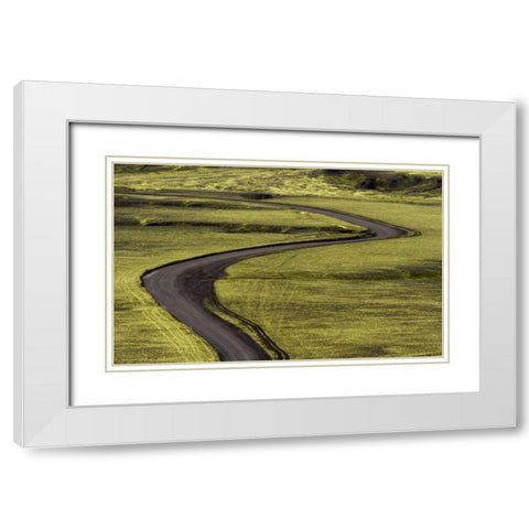 Iceland Road curves through green countryside White Modern Wood Framed Art Print with Double Matting by Young, Bill