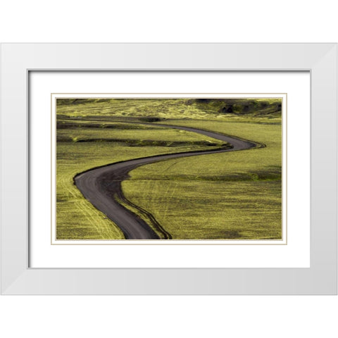 Iceland Road curves through green countryside White Modern Wood Framed Art Print with Double Matting by Young, Bill