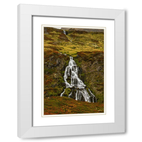 Iceland, Snaefellsnes Small waterfall and Autumn White Modern Wood Framed Art Print with Double Matting by Kirkland, Dennis