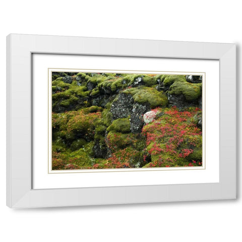 Iceland, Pingvellir NP Moss-covered rocks White Modern Wood Framed Art Print with Double Matting by Kirkland, Dennis
