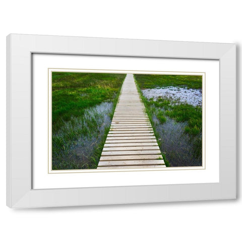 A plank pathway in Landmannalaugar-Iceland White Modern Wood Framed Art Print with Double Matting by Su, Keren
