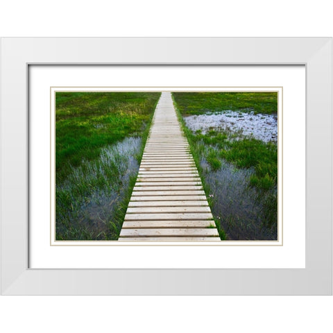 A plank pathway in Landmannalaugar-Iceland White Modern Wood Framed Art Print with Double Matting by Su, Keren