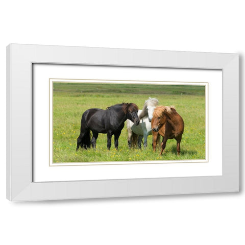 Horses on the ranch-south Iceland White Modern Wood Framed Art Print with Double Matting by Su, Keren