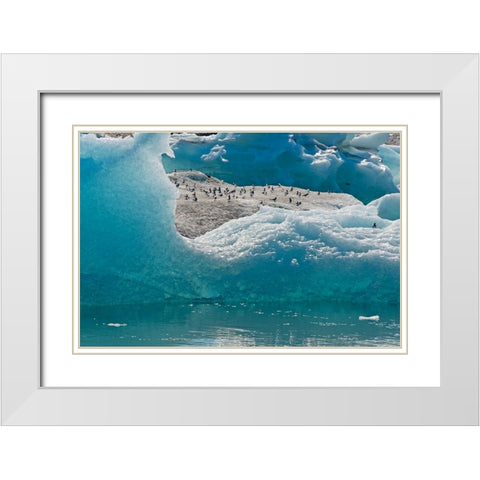 Birds on icebergs in Jokulsarlon Glacial Lagoon-Iceland White Modern Wood Framed Art Print with Double Matting by Su, Keren