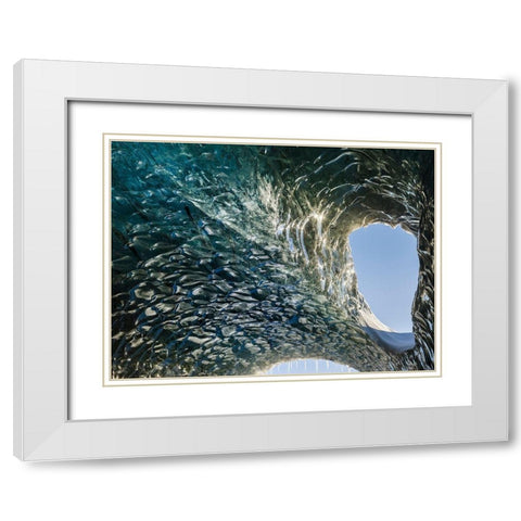 Ice cave at the northern shore of glacial lagoon Jokulsarlon in glacier Breidamerkurjokull White Modern Wood Framed Art Print with Double Matting by Zwick, Martin