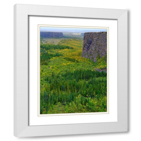 Asbyrgi canyon in Vatnajokull National Park-Iceland White Modern Wood Framed Art Print with Double Matting by Zwick, Martin