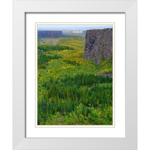 Asbyrgi canyon in Vatnajokull National Park-Iceland White Modern Wood Framed Art Print with Double Matting by Zwick, Martin