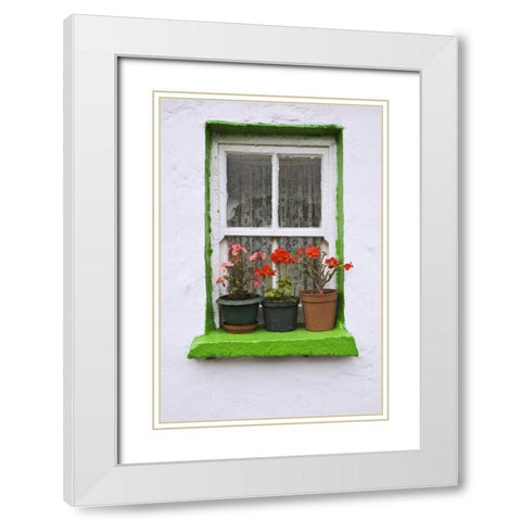 Ireland, Cashel Potted flowers on a window sill White Modern Wood Framed Art Print with Double Matting by Flaherty, Dennis