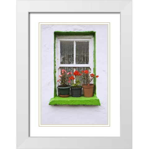 Ireland, Cashel Potted flowers on a window sill White Modern Wood Framed Art Print with Double Matting by Flaherty, Dennis