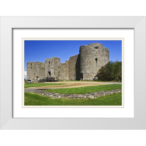 Ireland, Roscommon Ruins of Roscommon Castle White Modern Wood Framed Art Print with Double Matting by Flaherty, Dennis