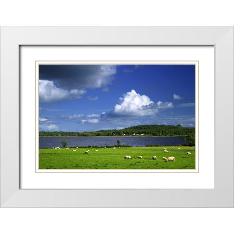Ireland, Co Roscommon Pastoral scene of lake White Modern Wood Framed Art Print with Double Matting by Flaherty, Dennis