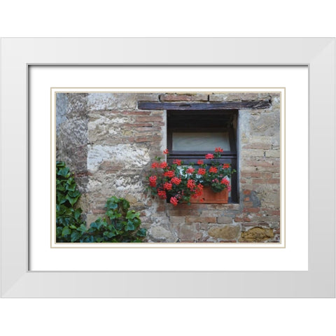 Italy, San Quirico dOrcia Flowers in a window White Modern Wood Framed Art Print with Double Matting by Flaherty, Dennis