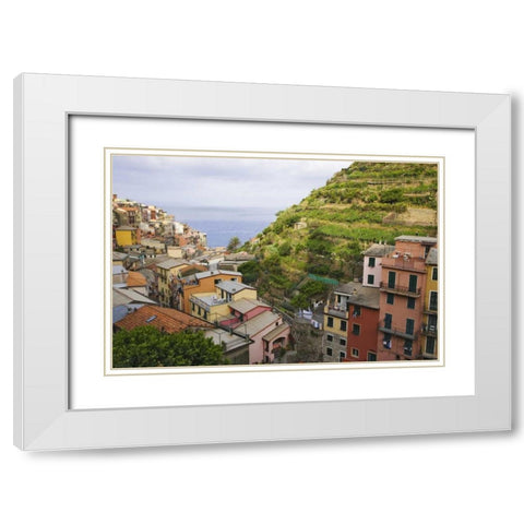 Hillside village of Manarola-Cinque Terre, Italy White Modern Wood Framed Art Print with Double Matting by Flaherty, Dennis