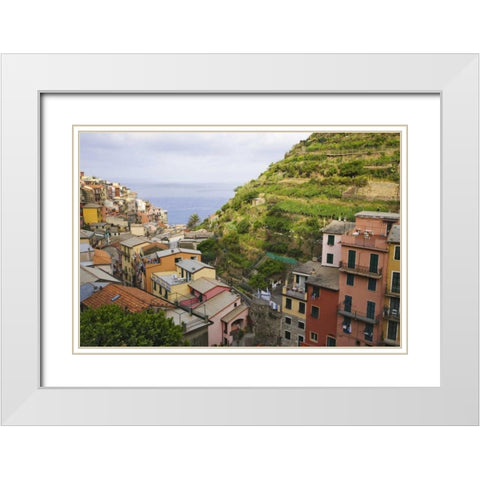 Hillside village of Manarola-Cinque Terre, Italy White Modern Wood Framed Art Print with Double Matting by Flaherty, Dennis