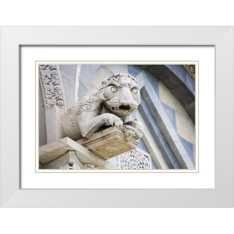 Italy, Pisa A gargoyle above door of Duomo Pisa White Modern Wood Framed Art Print with Double Matting by Flaherty, Dennis