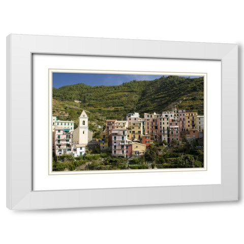 Italy, Manarola Town and terraced vineyards White Modern Wood Framed Art Print with Double Matting by Kaveney, Wendy