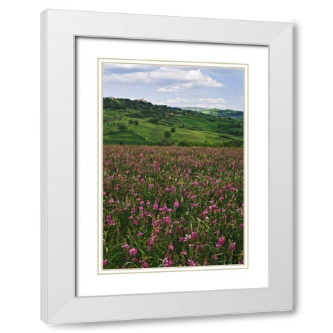 Italy, Pienza Medieval town seen on hilltop White Modern Wood Framed Art Print with Double Matting by Flaherty, Dennis