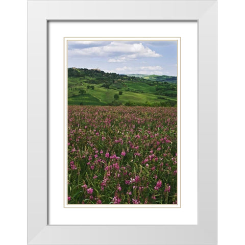 Italy, Pienza Medieval town seen on hilltop White Modern Wood Framed Art Print with Double Matting by Flaherty, Dennis