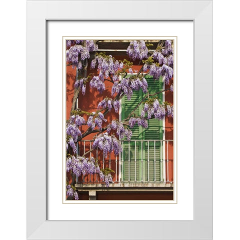 Italy, Varenna Flowers grow over front of house White Modern Wood Framed Art Print with Double Matting by Flaherty, Dennis