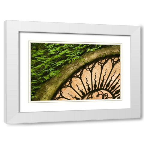 Italy, Tuscany Celsa Castle window detail White Modern Wood Framed Art Print with Double Matting by Bush, Marie