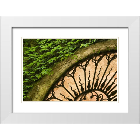 Italy, Tuscany Celsa Castle window detail White Modern Wood Framed Art Print with Double Matting by Bush, Marie