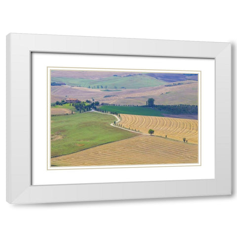 Italy, Tuscany, Pienza Tuscan landscape White Modern Wood Framed Art Print with Double Matting by Delisle, Gilles