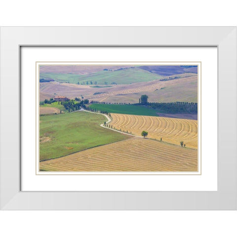 Italy, Tuscany, Pienza Tuscan landscape White Modern Wood Framed Art Print with Double Matting by Delisle, Gilles