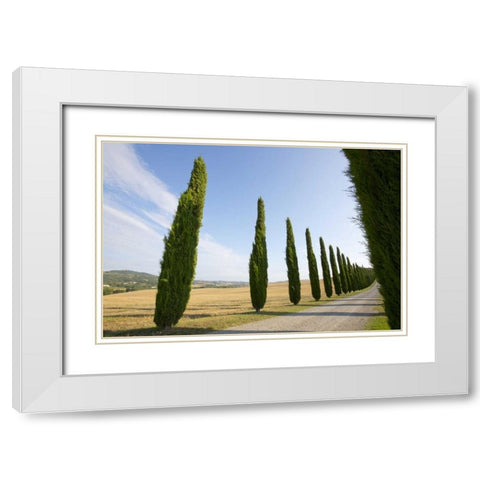 Italy, Tuscany Road and cypress trees White Modern Wood Framed Art Print with Double Matting by Delisle, Gilles