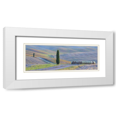Italy, Tuscany Hay bales and farmland White Modern Wood Framed Art Print with Double Matting by Delisle, Gilles