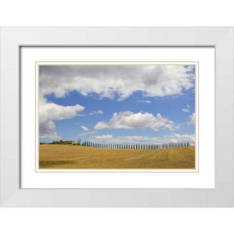 Italy, Tuscany Cypress tree alley and farm house White Modern Wood Framed Art Print with Double Matting by Delisle, Gilles