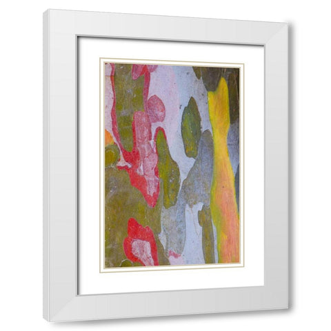 Italy, Tuscany Cypress tree bark patterns White Modern Wood Framed Art Print with Double Matting by Delisle, Gilles