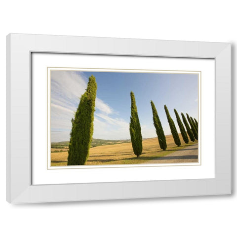 Italy, Tuscany Road and cypress trees White Modern Wood Framed Art Print with Double Matting by Delisle, Gilles