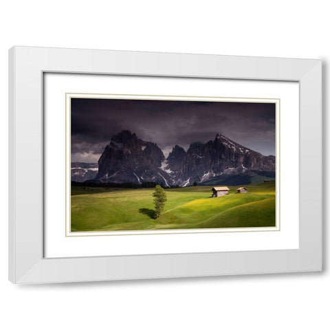 Europe-Italy-South Tirol-Alpine meadows with the Sasso Lungo and Sasso Piatto Mountains White Modern Wood Framed Art Print with Double Matting by Jaynes Gallery