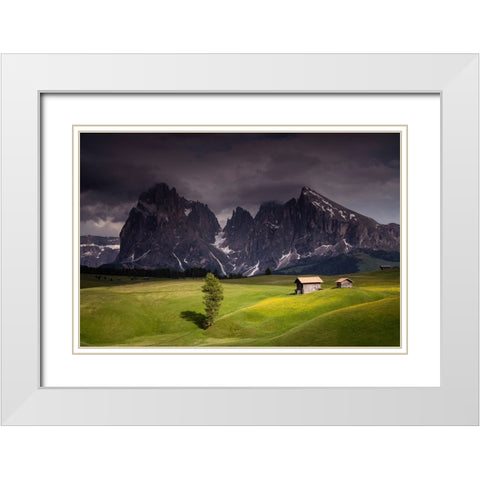 Europe-Italy-South Tirol-Alpine meadows with the Sasso Lungo and Sasso Piatto Mountains White Modern Wood Framed Art Print with Double Matting by Jaynes Gallery
