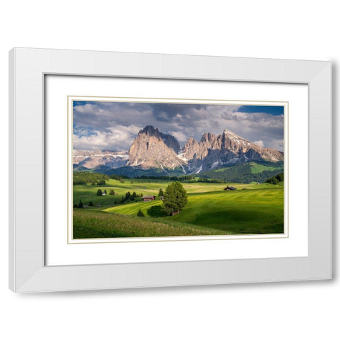 Europe-Italy-South Tirol-Alpine meadows with the Sasso Lungo and Sasso Piatto Mountains White Modern Wood Framed Art Print with Double Matting by Jaynes Gallery
