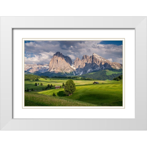 Europe-Italy-South Tirol-Alpine meadows with the Sasso Lungo and Sasso Piatto Mountains White Modern Wood Framed Art Print with Double Matting by Jaynes Gallery