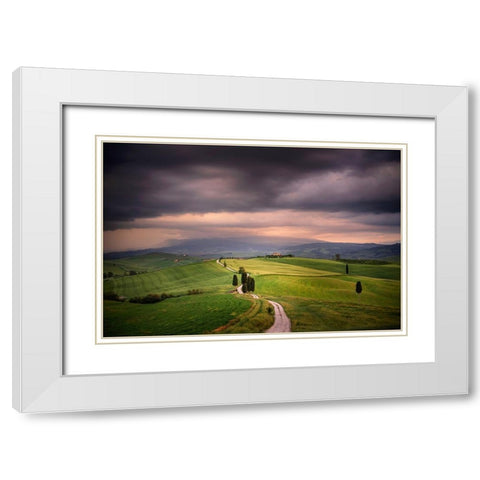 Europe-Italy-Tuscany-Val dOrcia-Road through farming landscape White Modern Wood Framed Art Print with Double Matting by Jaynes Gallery