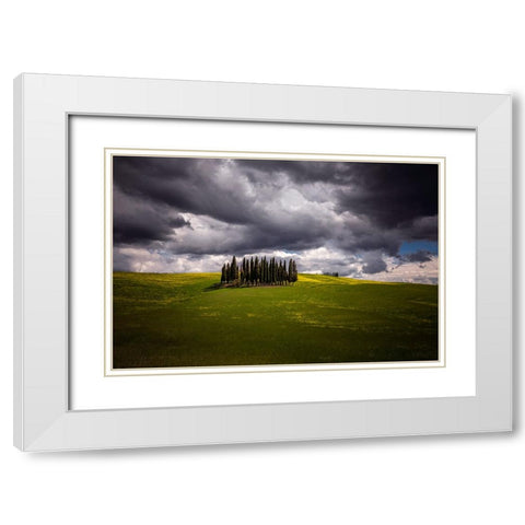 Europe-Italy-Tuscany-Val d Orcia-Cypress grove and farmland White Modern Wood Framed Art Print with Double Matting by Jaynes Gallery