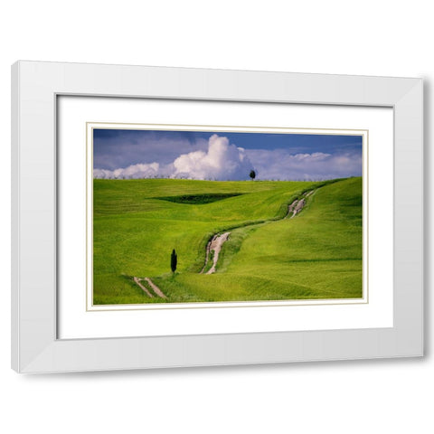 Europe-Italy-Tuscany-Val d Orcia-Cypress tree and winding road in farmland hills White Modern Wood Framed Art Print with Double Matting by Jaynes Gallery