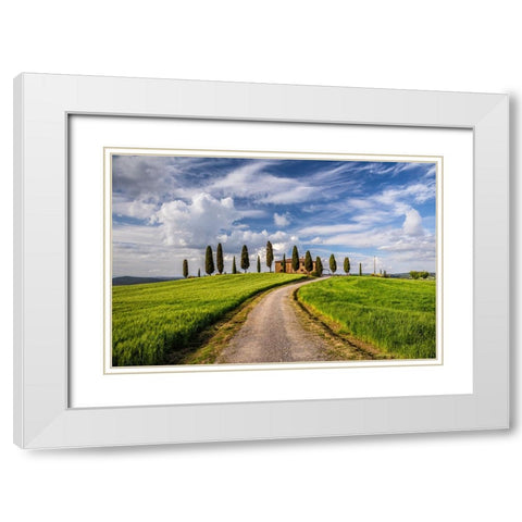 Europe-Italy-Tuscany-Val d Orcia-Road to Il Cipressini farmhouse White Modern Wood Framed Art Print with Double Matting by Jaynes Gallery
